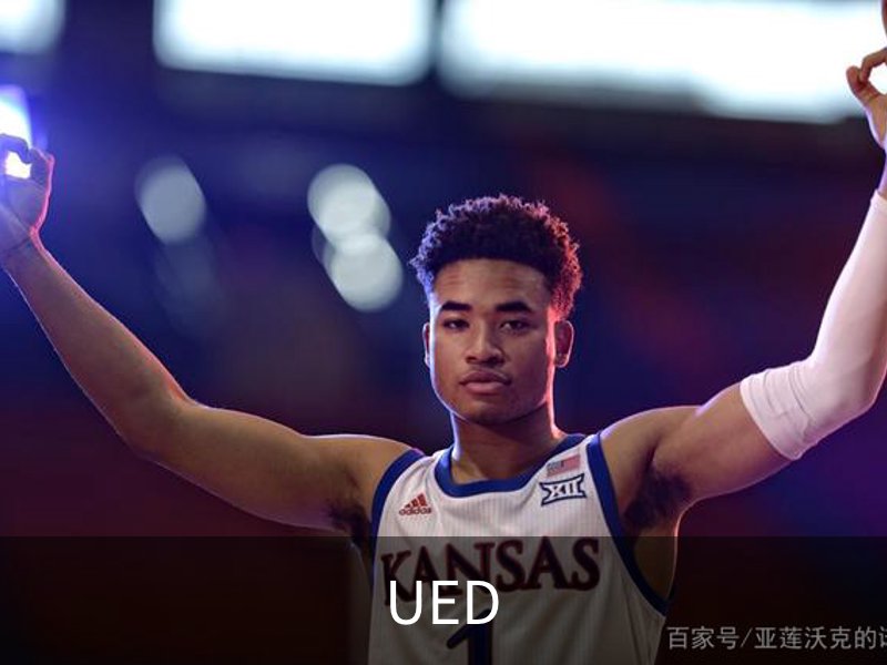 UED品牌故事
